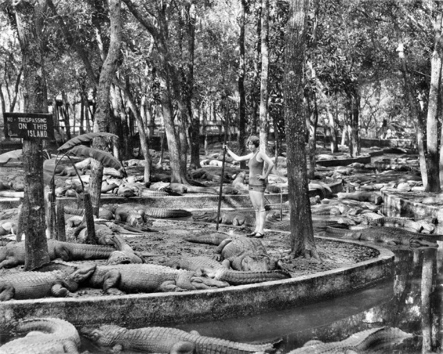 Интересные снимки из прошлого