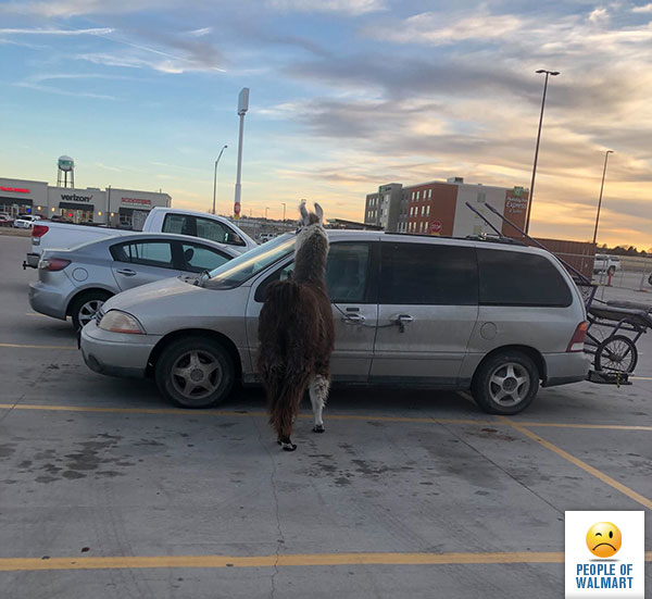 Экстравагантные покупатели Walmart