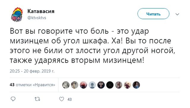 Шутки и высказывания из социальной сети