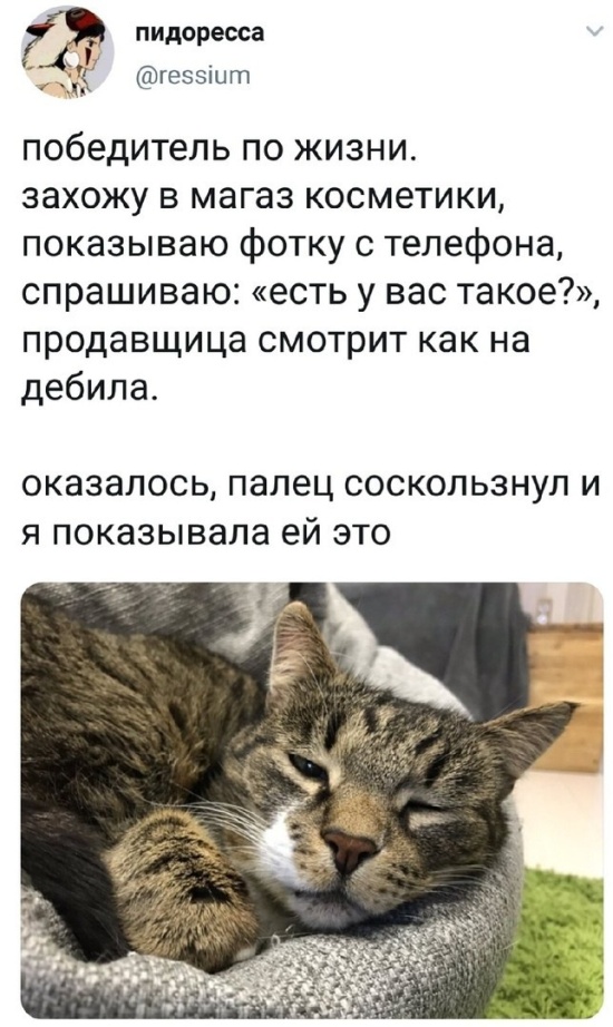 Шутки и высказывания из социальной сети