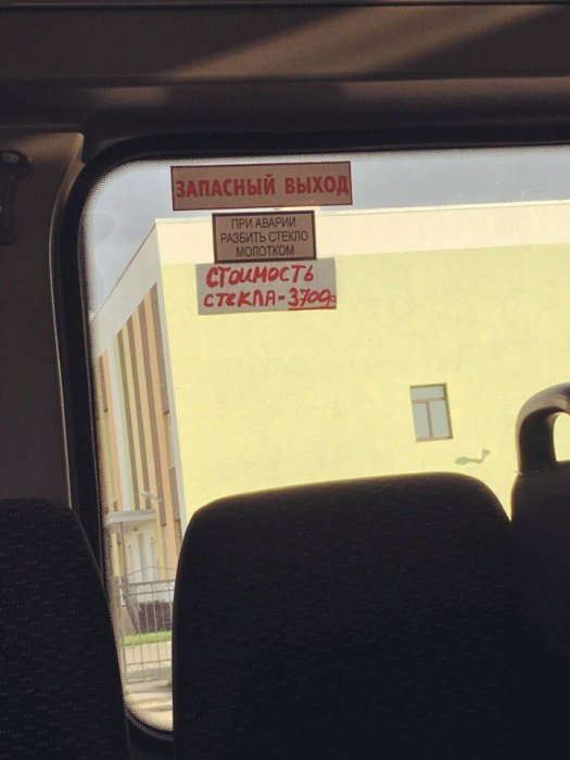 Забавные картинки