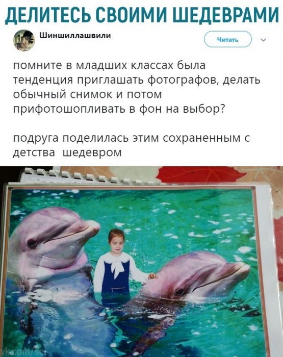 Забавные картинки