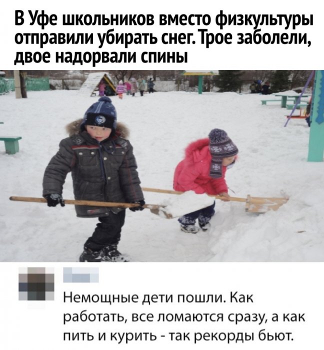 Забавные картинки