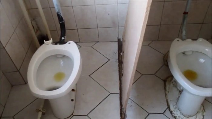  Родители школьников окунули пацана в унитаз головой