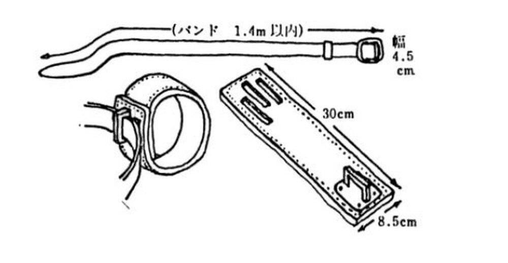 Где самые эффективные исправительные колонии в мире