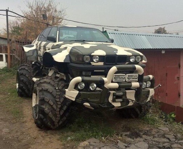 Прикольные картинки