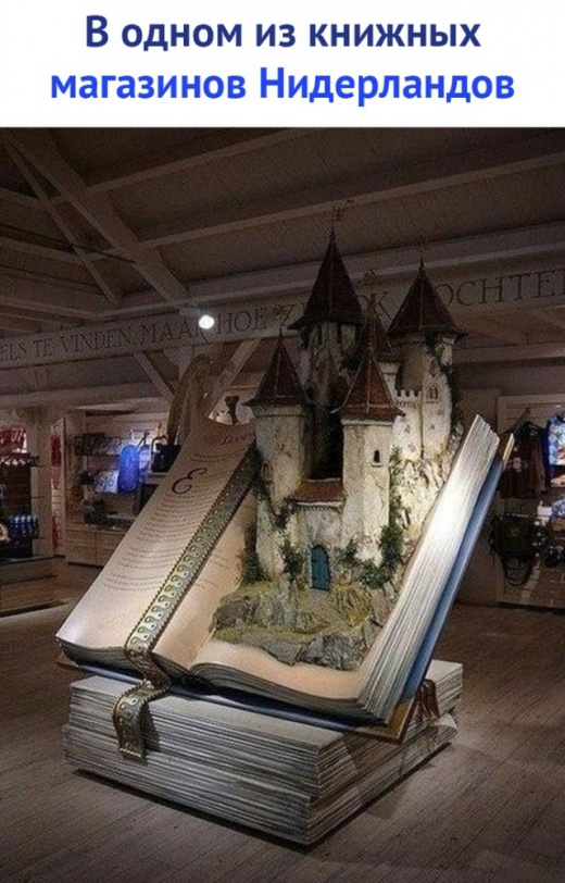 Прикольные картинки