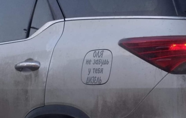 Прикольные картинки