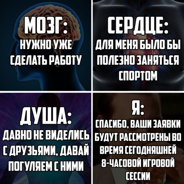 Прикольные картинки