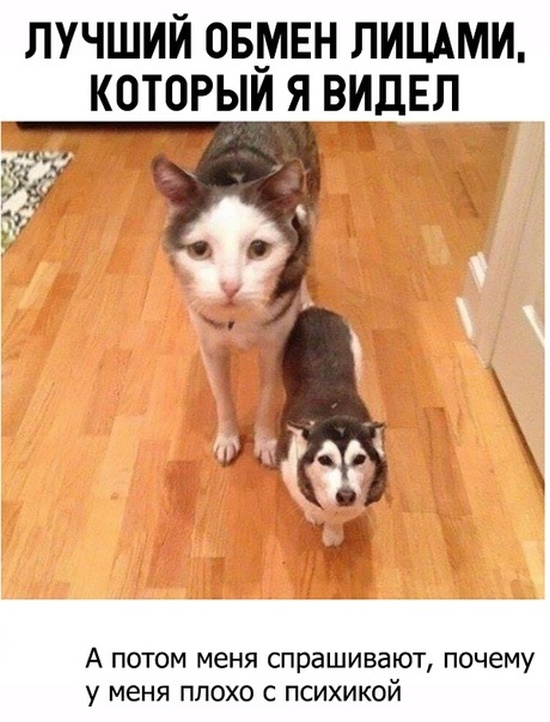 Юмор и шутки с просторов сети