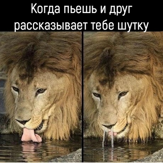 Юмор и шутки с просторов сети
