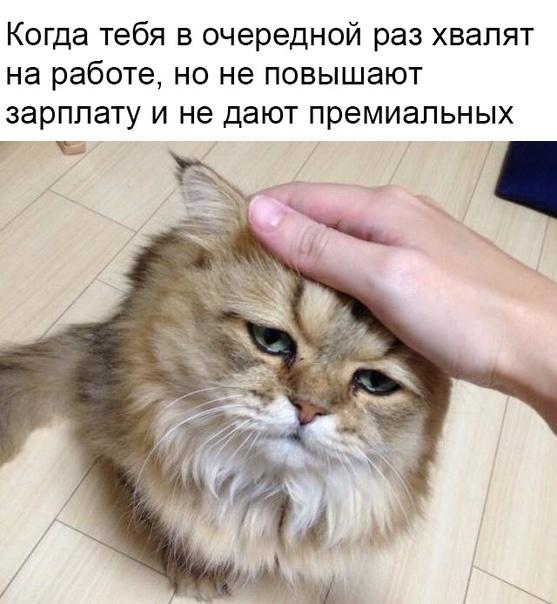 Юмор и шутки с просторов сети