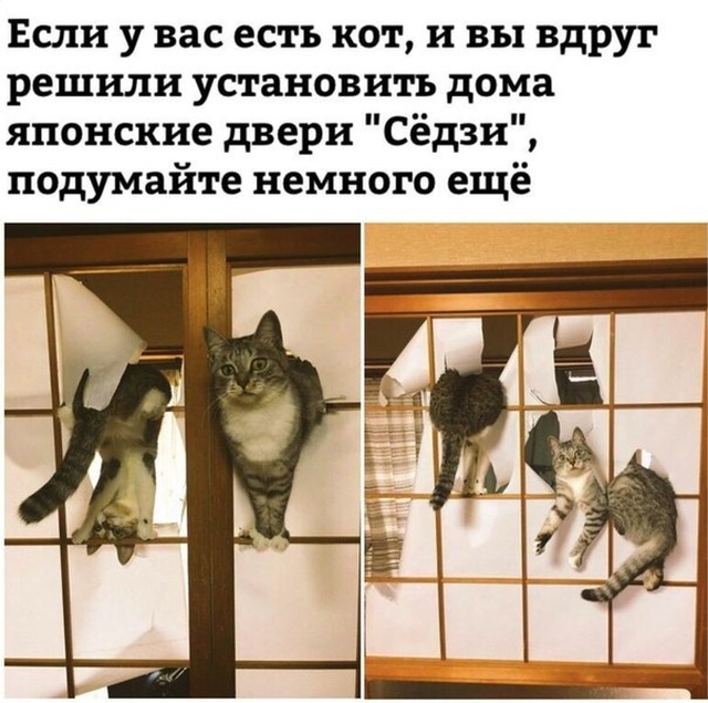 Юмор и шутки с просторов сети
