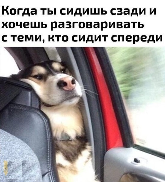 Юмор и шутки с просторов сети