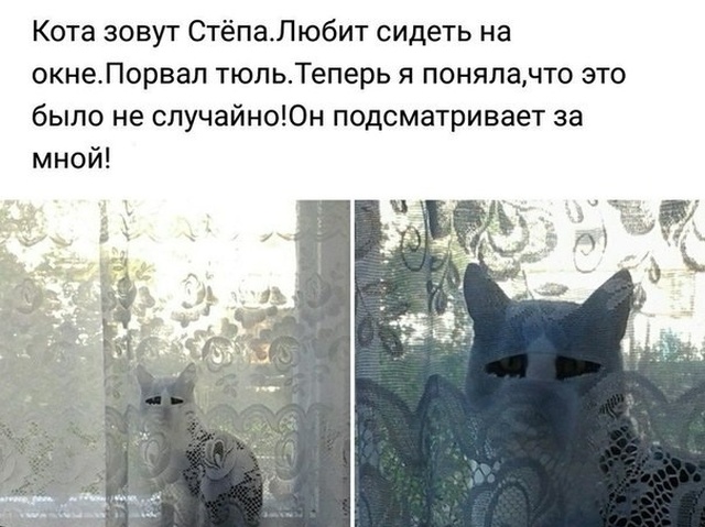 Юмор и шутки с просторов сети