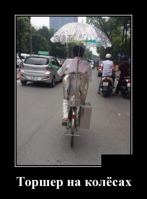 Демотиваторы