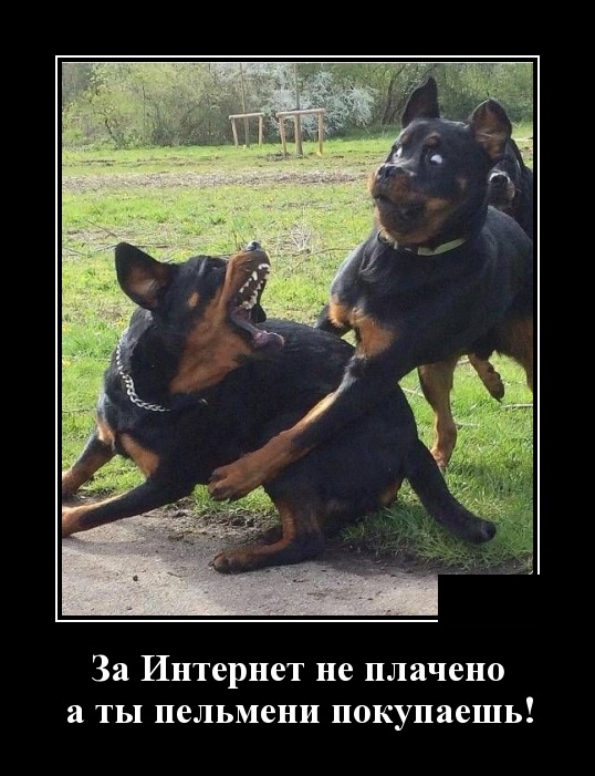 Демотиваторы