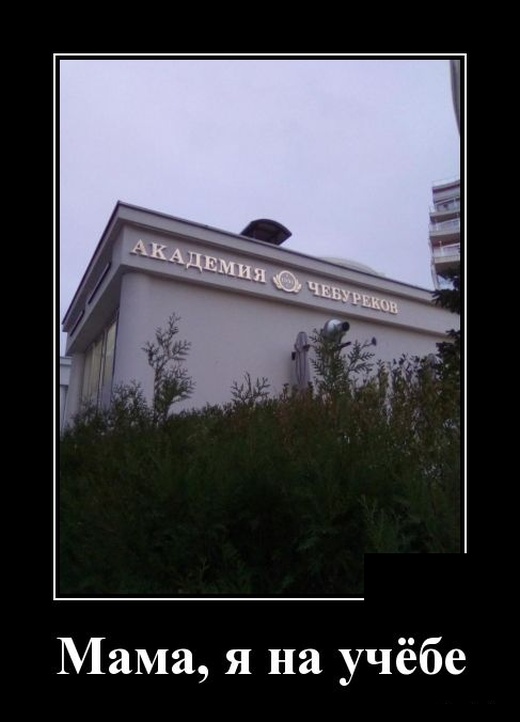 Демотиваторы