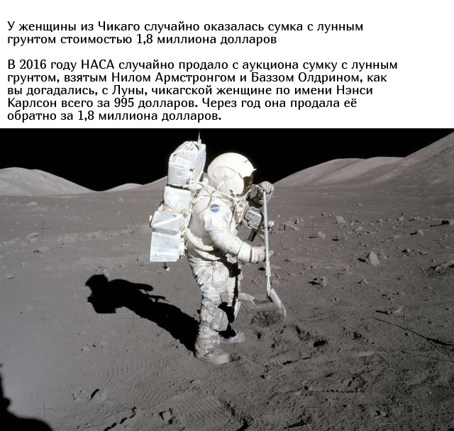 Удивительные находки, которые стоили целое состояние