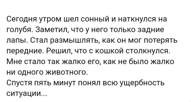 Переживания и истории пользователей сети