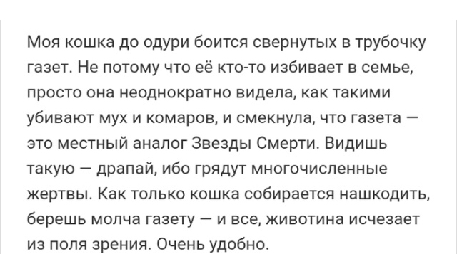 Переживания и истории пользователей сети