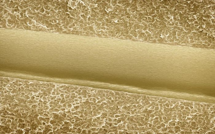 Макрофотографии еды