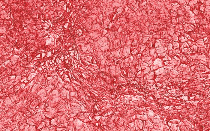 Макрофотографии еды