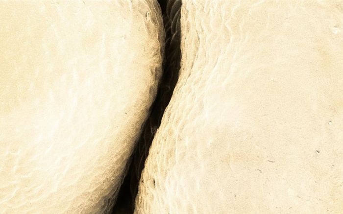 Макрофотографии еды