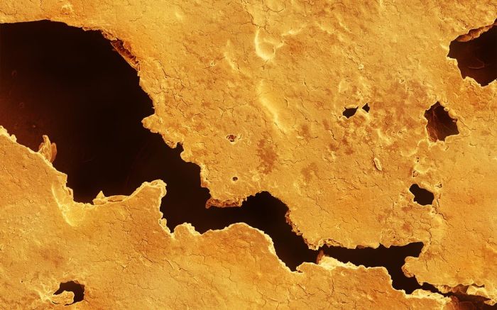 Макрофотографии еды