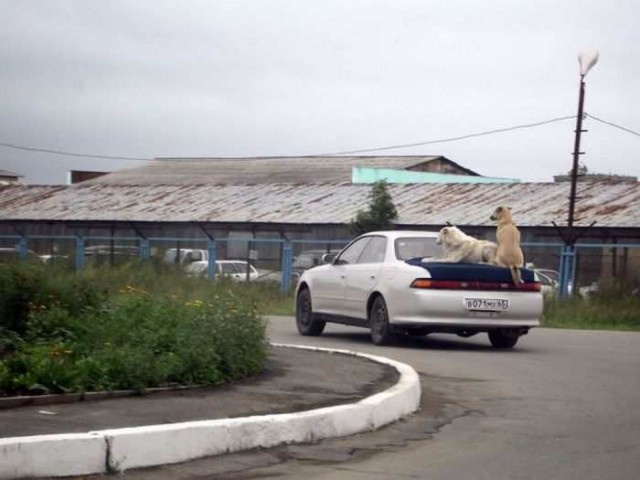 Фотографии с просторов нашей бескрайней