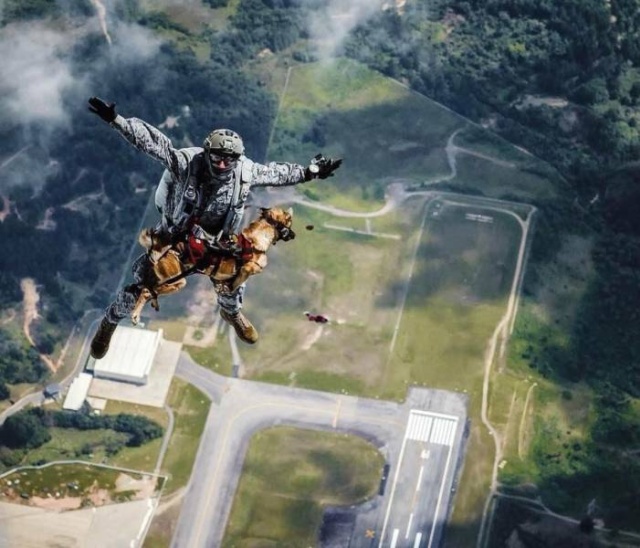 Красивые фотографии вместо тысячи слов