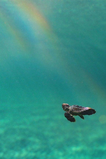 Красивые фотографии вместо тысячи слов