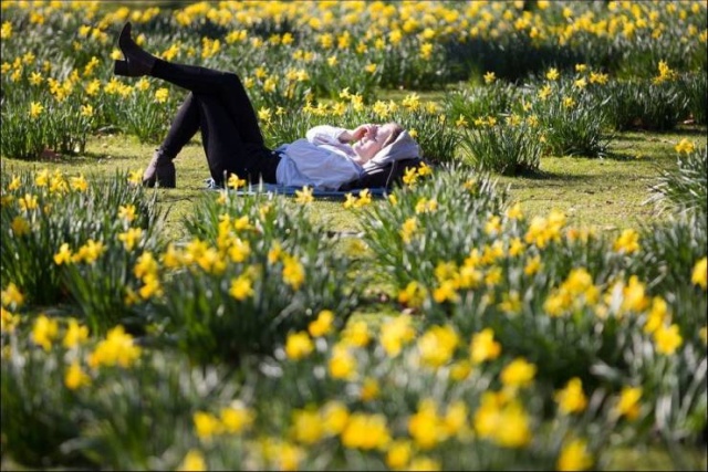 Красивые фотографии вместо тысячи слов