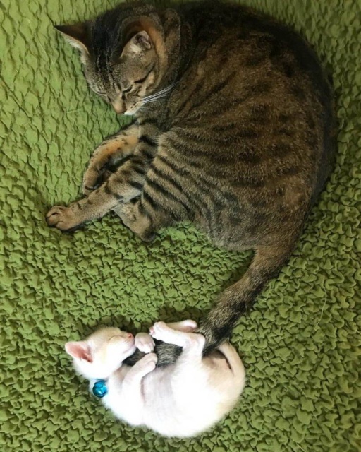 Красивые фотографии вместо тысячи слов