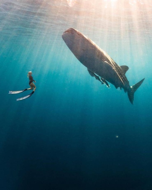 Красивые фотографии вместо тысячи слов