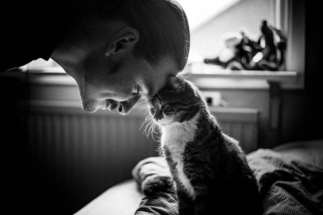 Красивые фотографии вместо тысячи слов