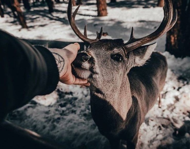 Красивые фотографии вместо тысячи слов