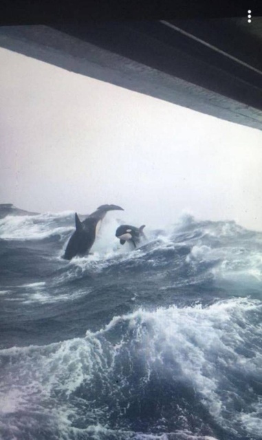 Красивые фотографии вместо тысячи слов