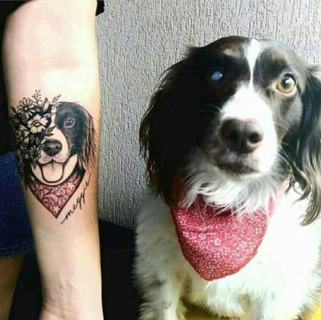 Красивые фотографии вместо тысячи слов