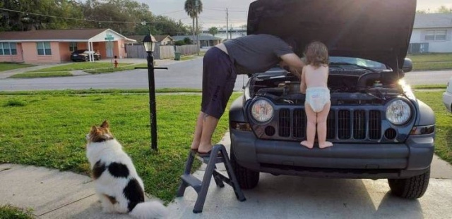 Красивые фотографии вместо тысячи слов