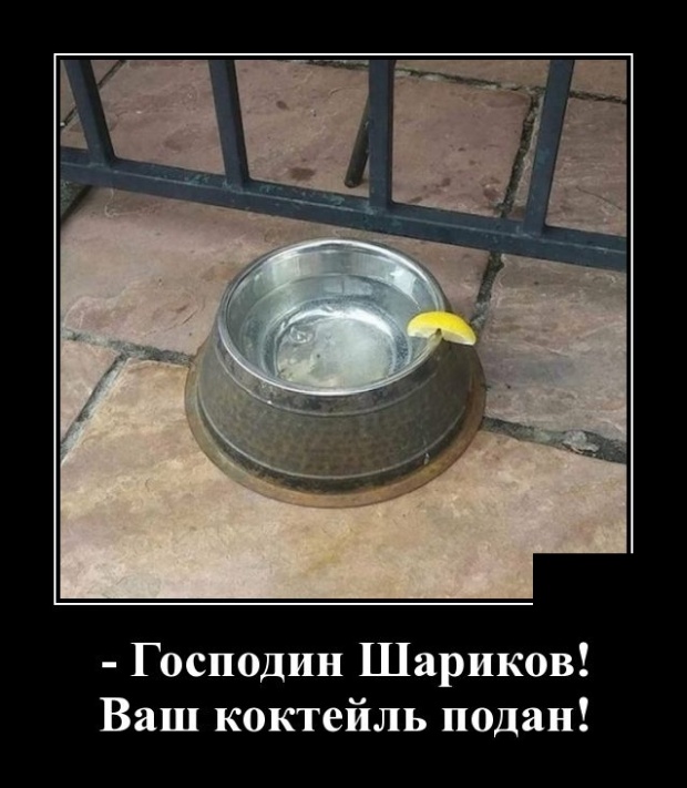 Демотиваторы