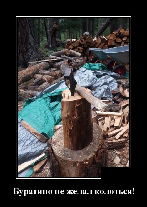 Демотиваторы