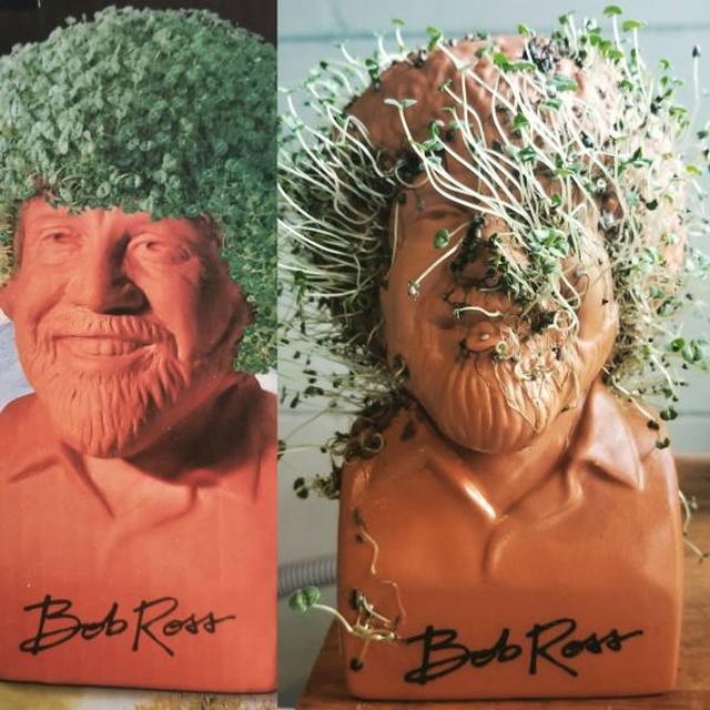 Почти получилось