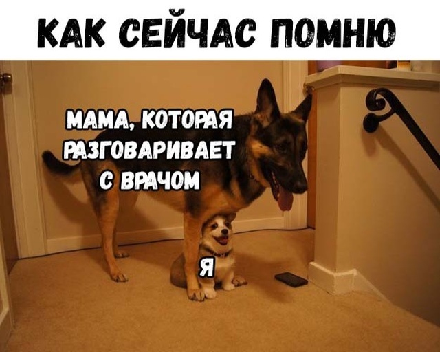 Прикольные картинки