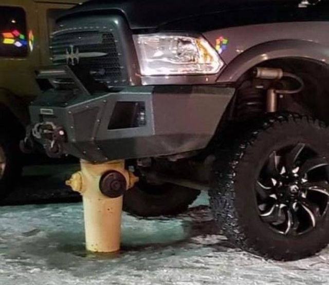 Прикольные картинки