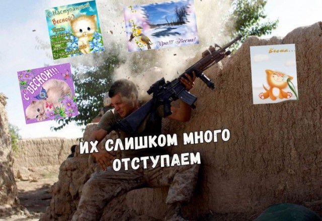 Прикольные картинки