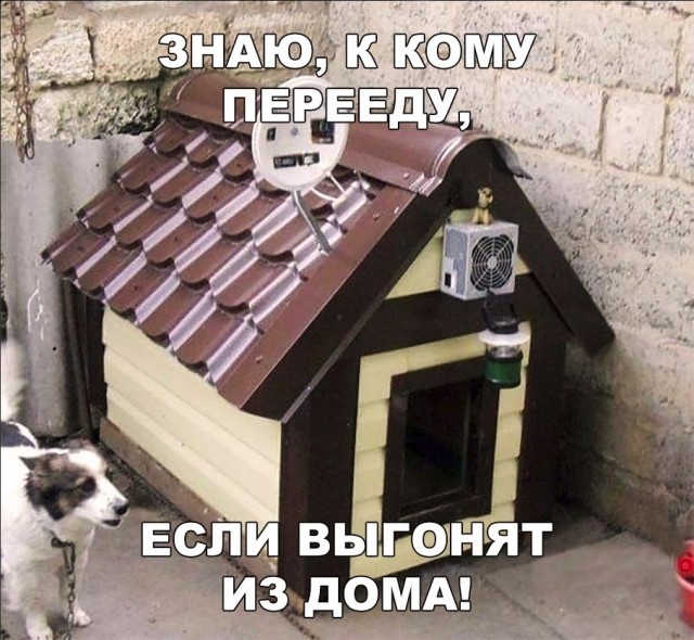 Простой юмор с просторов сети