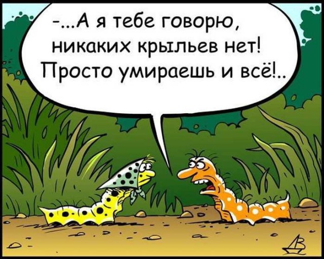 Простой юмор с просторов сети