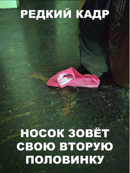 Простой юмор с просторов сети