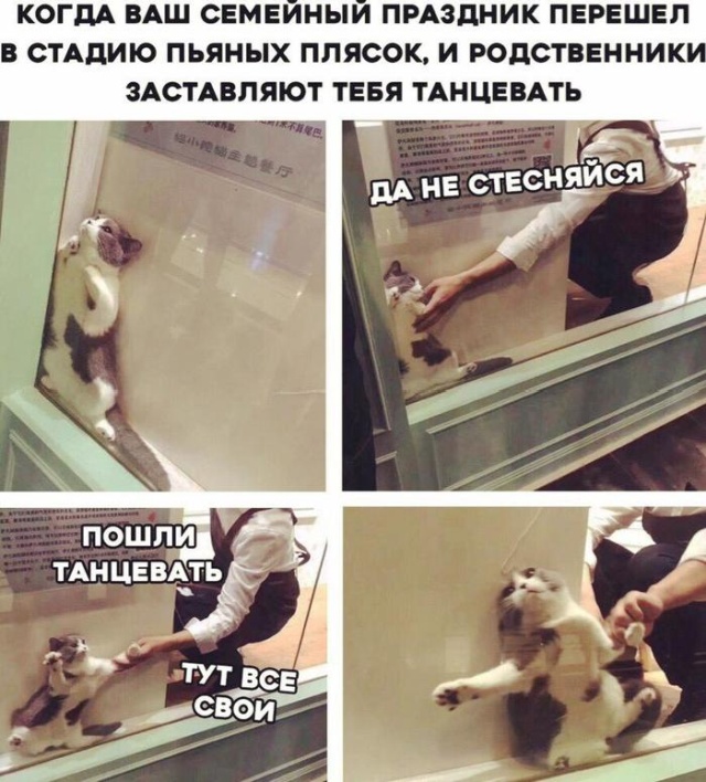 Прикольные картинки